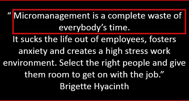 micromanagement and macro management